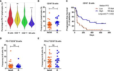 Predictable Roles of Peripheral IgM Memory B Cells for the Responses to Anti-PD-1 Monotherapy Against Advanced Non-Small Cell Lung Cancer